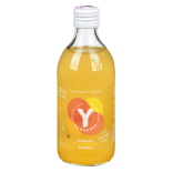 Y Kombucha Mangue Pulsation